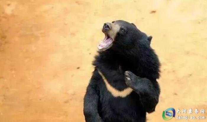 泉州海絲野生動物世界 泉州海絲野生動物世界