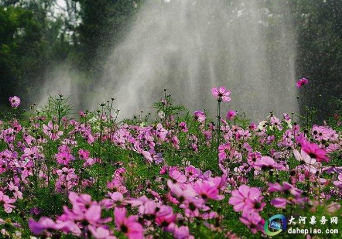 泉州海絲野生動物世界 泉州海絲野生動物世界