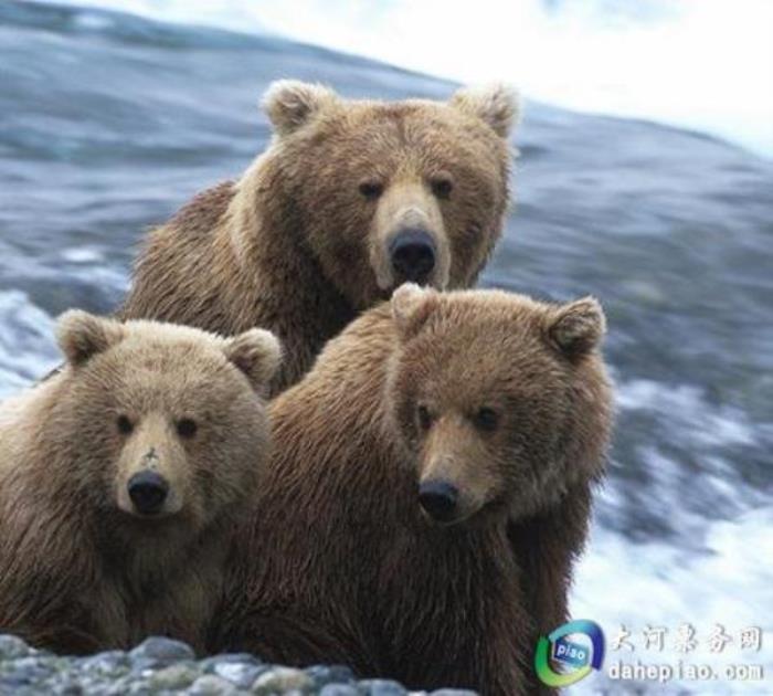泉州海絲野生動物世界 泉州海絲野生動物世界
