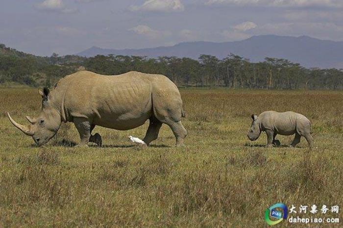 泉州海絲野生動物世界 泉州海絲野生動物世界