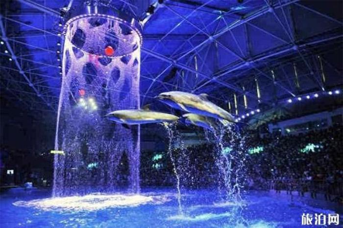 成都海昌極地海洋世界 成都海昌極地海洋世界