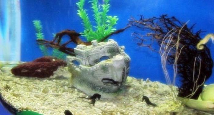 廈門海底世界 廈門海底世界