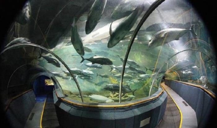 廈門海底世界 廈門海底世界