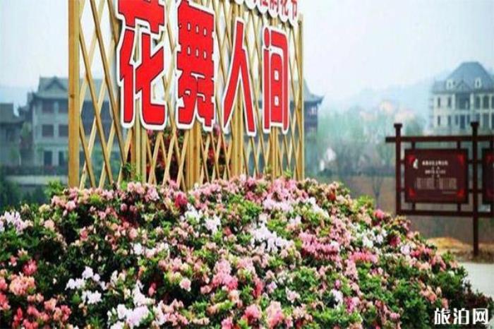 新津花舞人間 新津花舞人間