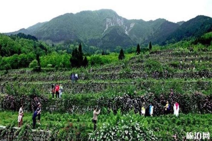彭州寶山旅游區 彭州寶山旅游區