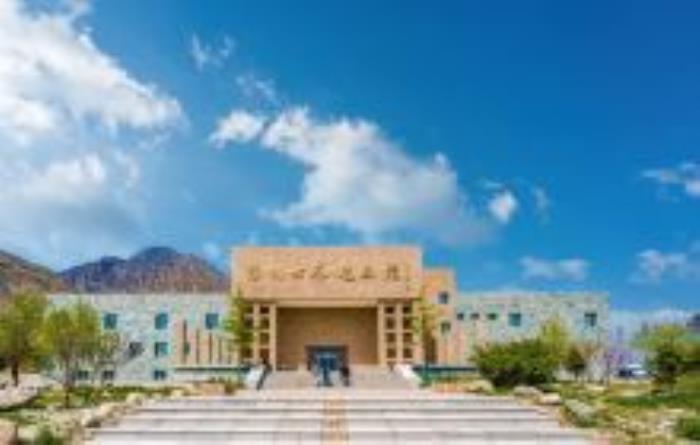 銀川世界巖畫館寧夏景點