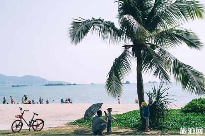 椰夢長廊 椰夢長廊