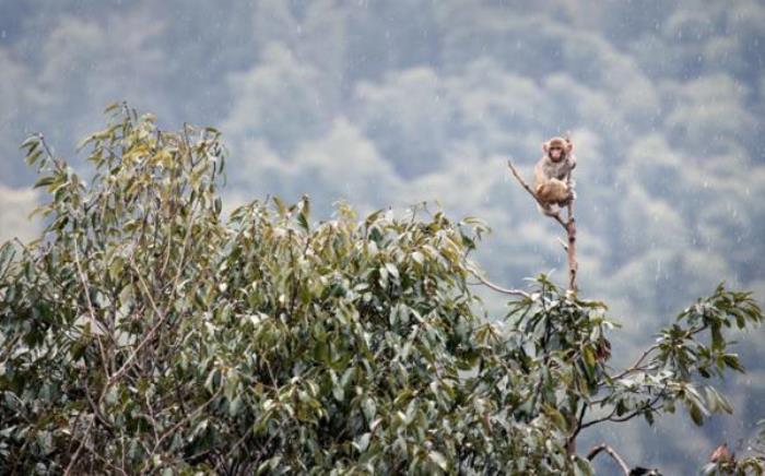 太姥山風(fēng)景區(qū) 太姥山風(fēng)景區(qū)