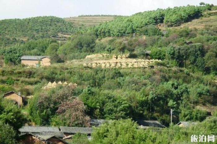 巧家藥山自然保護區 巧家藥山自然保護區