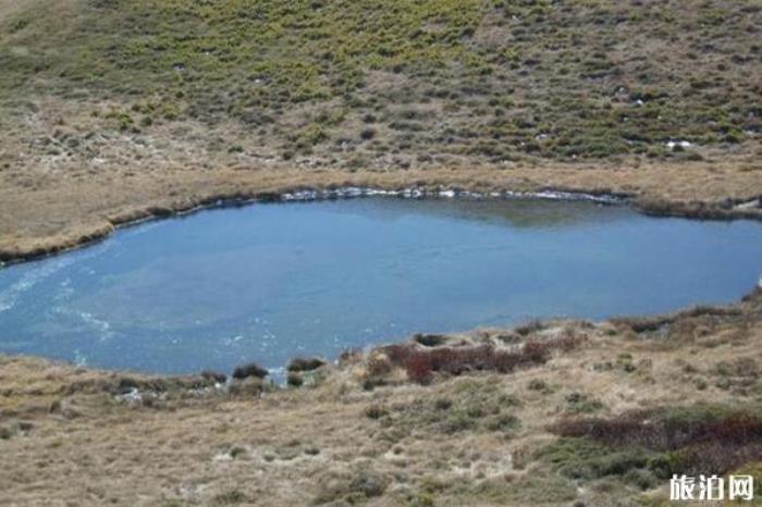 巧家藥山自然保護區 巧家藥山自然保護區