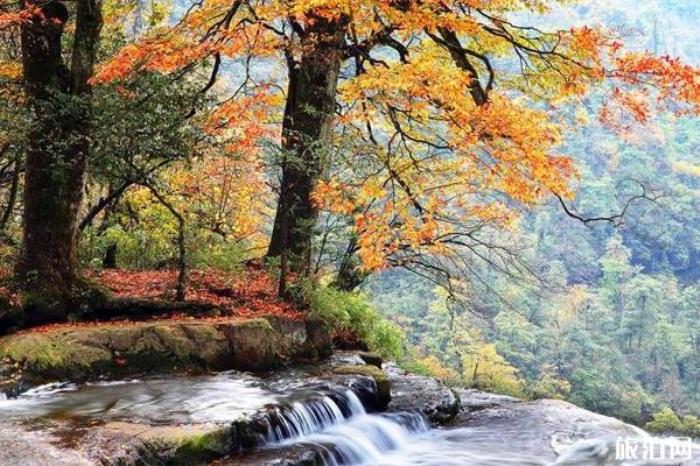 昭通小草壩風景區 昭通小草壩風景區