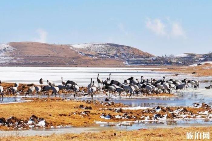 昭通大山包國家公園 昭通大山包國家公園