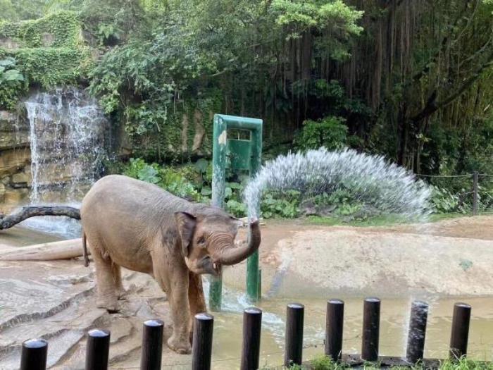 廣州動物園 廣州動物園