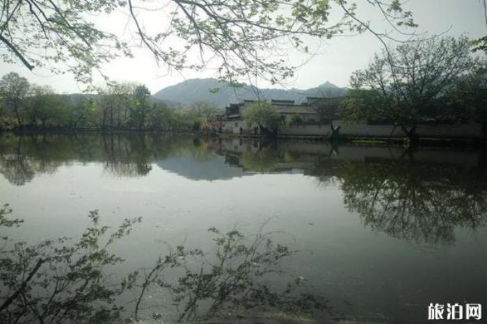 安徽屏山景區 安徽屏山景區