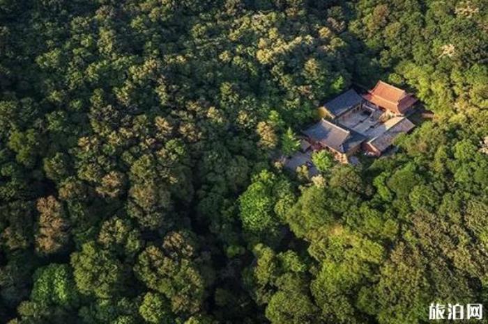 鳳陽狼巷迷谷風景區 鳳陽狼巷迷谷風景區