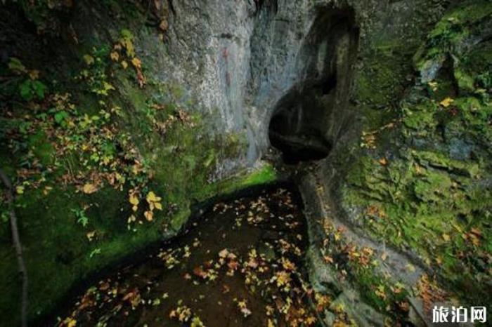 鳳陽狼巷迷谷風景區 鳳陽狼巷迷谷風景區