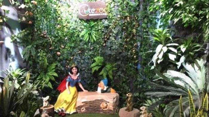 杭州-酷嗒動物文化樂園 杭州-酷嗒動物文化樂園