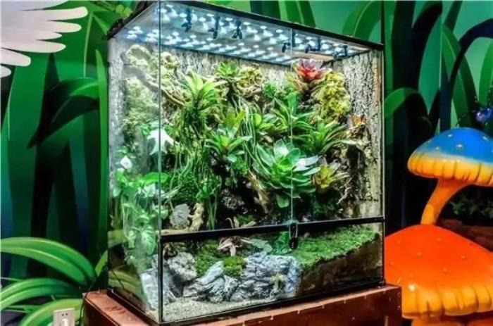 杭州-酷嗒動物文化樂園 杭州-酷嗒動物文化樂園