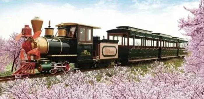 正定古城櫻花小鎮 正定古城櫻花小鎮