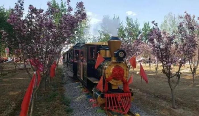 正定古城櫻花小鎮 正定古城櫻花小鎮