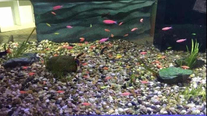 杭州-酷嗒動物文化樂園 杭州-酷嗒動物文化樂園