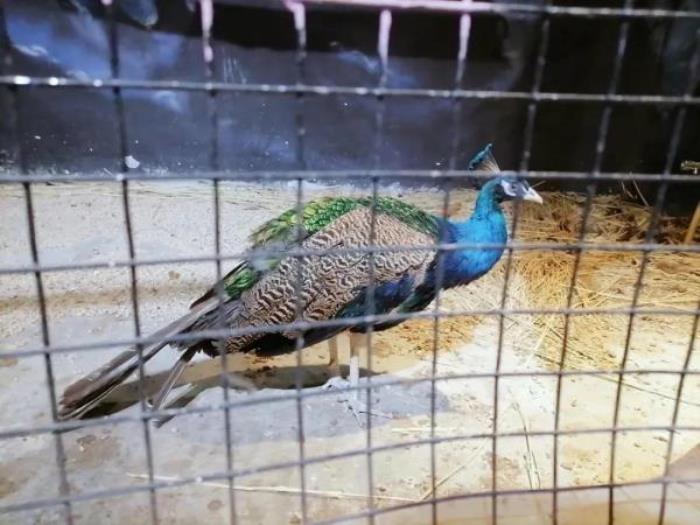 杭州-酷嗒動物文化樂園 杭州-酷嗒動物文化樂園