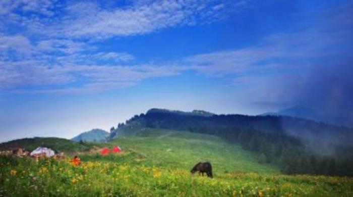 駝梁風(fēng)景區(qū) 駝梁風(fēng)景區(qū)