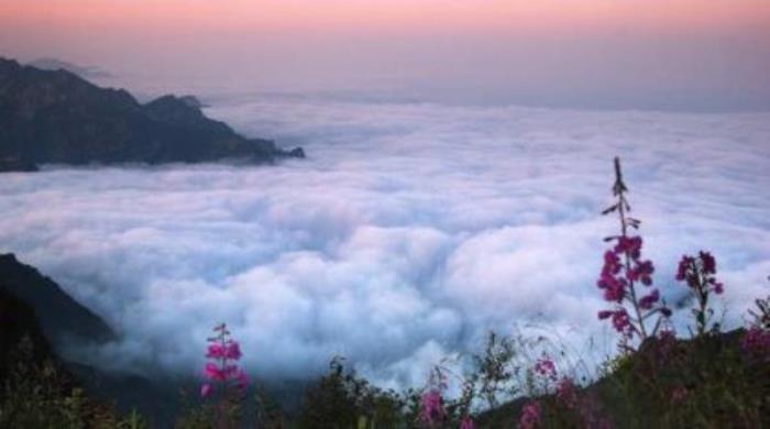 駝梁風(fēng)景區(qū) 駝梁風(fēng)景區(qū)