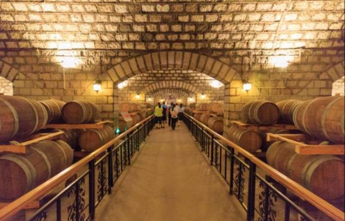 秦皇島-長城華夏酒莊 秦皇島-長城華夏酒莊