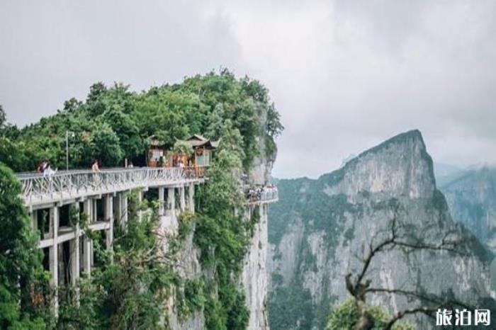 天門(mén)山國(guó)家森林公園景區(qū) 天門(mén)山國(guó)家森林公園景區(qū)
