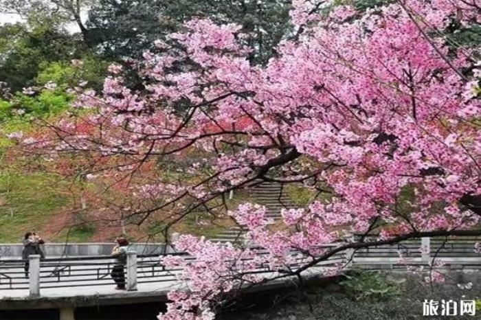 桂林南溪山公園 桂林南溪山公園