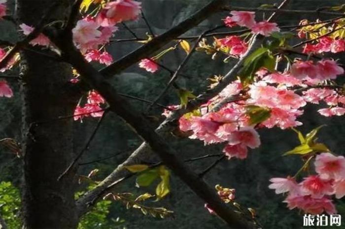 桂林南溪山公園 桂林南溪山公園