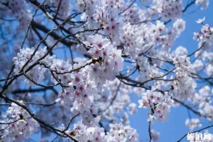 桂林南溪山公園 桂林南溪山公園