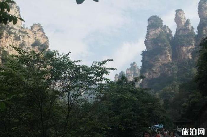 張家界十里畫廊景區 張家界十里畫廊景區