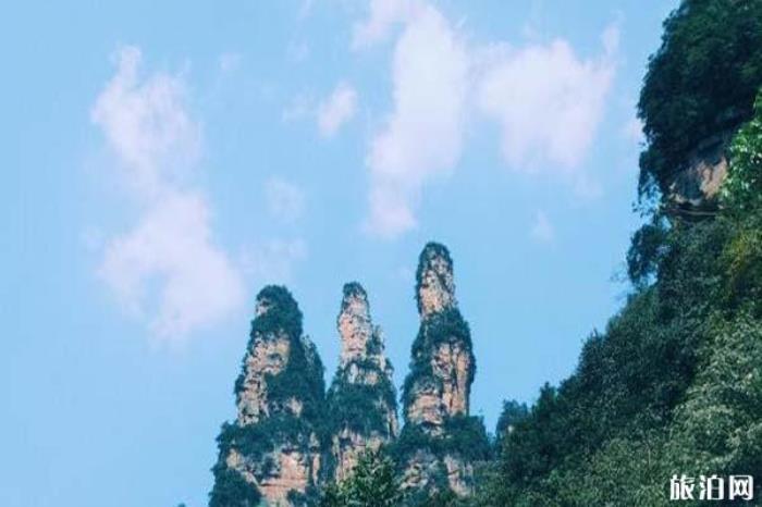 張家界十里畫廊景區 張家界十里畫廊景區