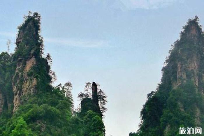 張家界十里畫廊景區 張家界十里畫廊景區