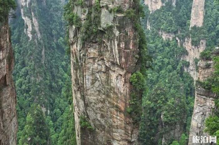 袁家界景區(qū) 袁家界景區(qū)