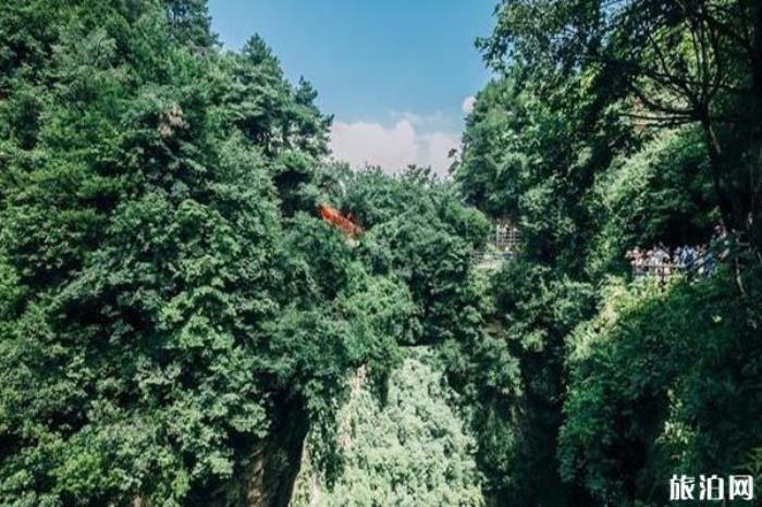 袁家界景區(qū) 袁家界景區(qū)