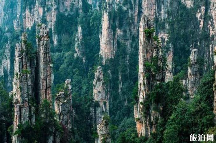 天子山景區(qū)