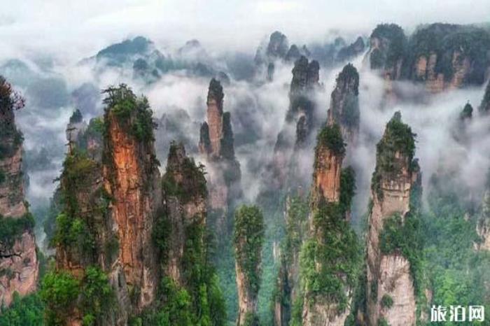 天子山景區(qū) 天子山景區(qū)