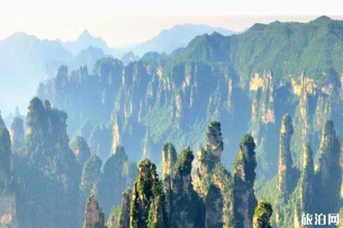 天子山景區(qū) 天子山景區(qū)