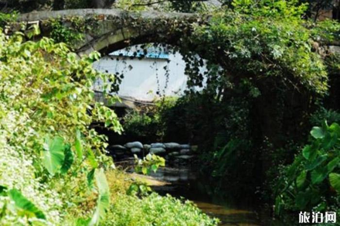 長沙黑麋峰森林公園 長沙黑麋峰森林公園