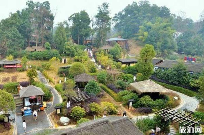 紫龍灣溫泉 紫龍灣溫泉