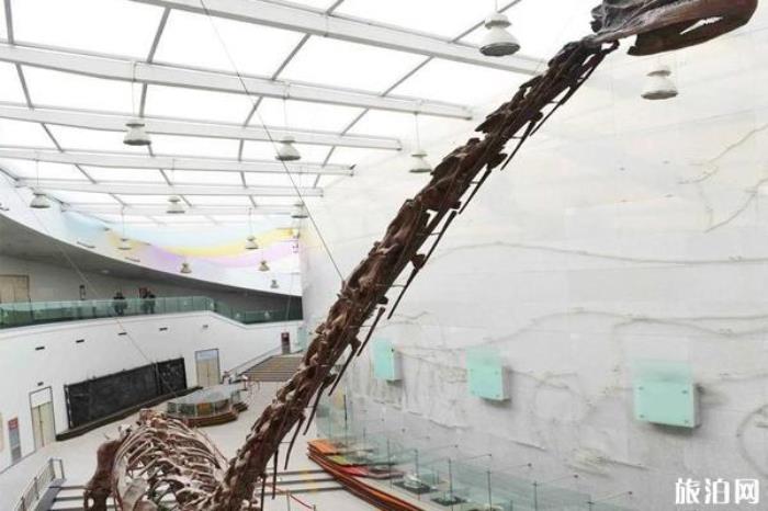 陜西自然博物館 陜西自然博物館