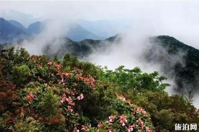 廣西貓兒山景區 廣西貓兒山景區