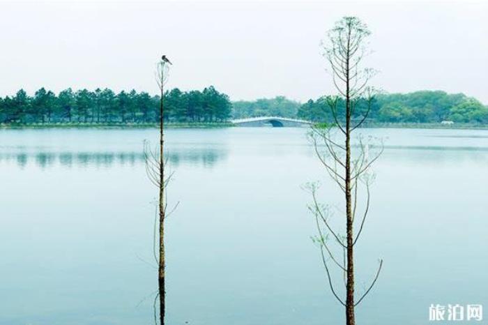 江西鳳凰溝風景區 江西鳳凰溝風景區