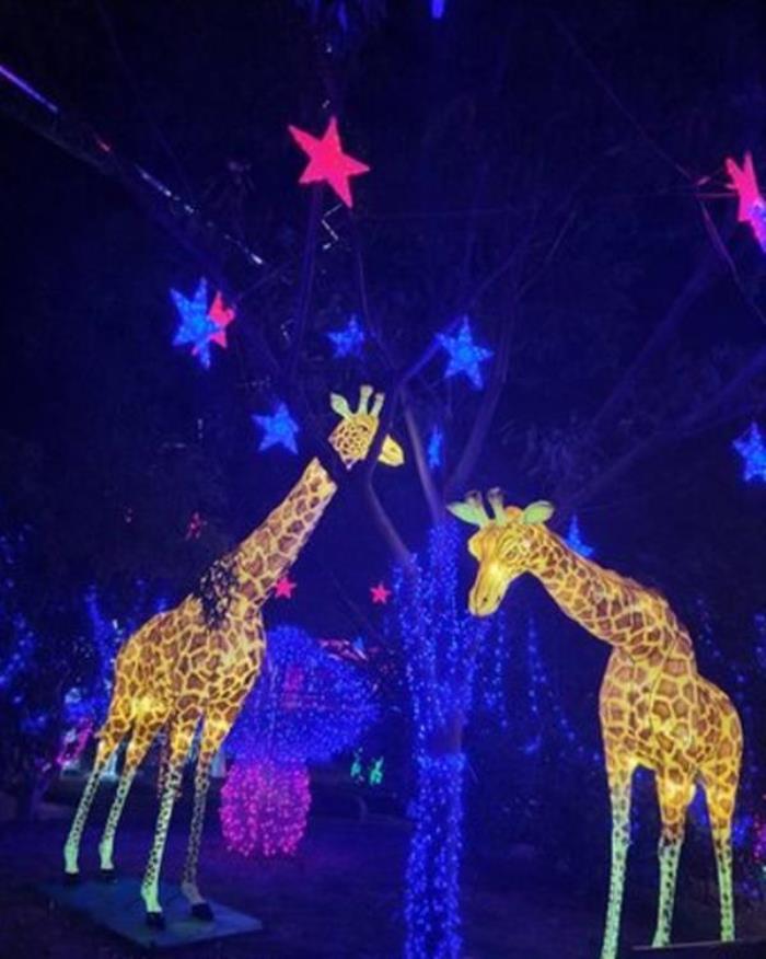 上海錦江樂園 上海錦江樂園