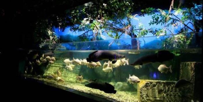 正佳極地海洋世界 正佳極地海洋世界