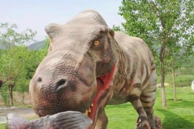 石家莊-西部長青自然兒童樂園