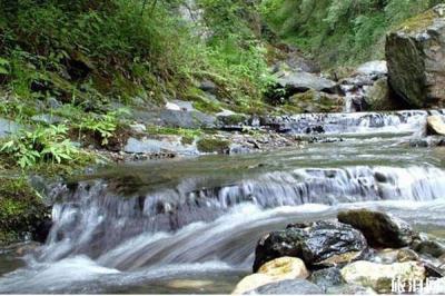 安慶蓮洞國家森林公園